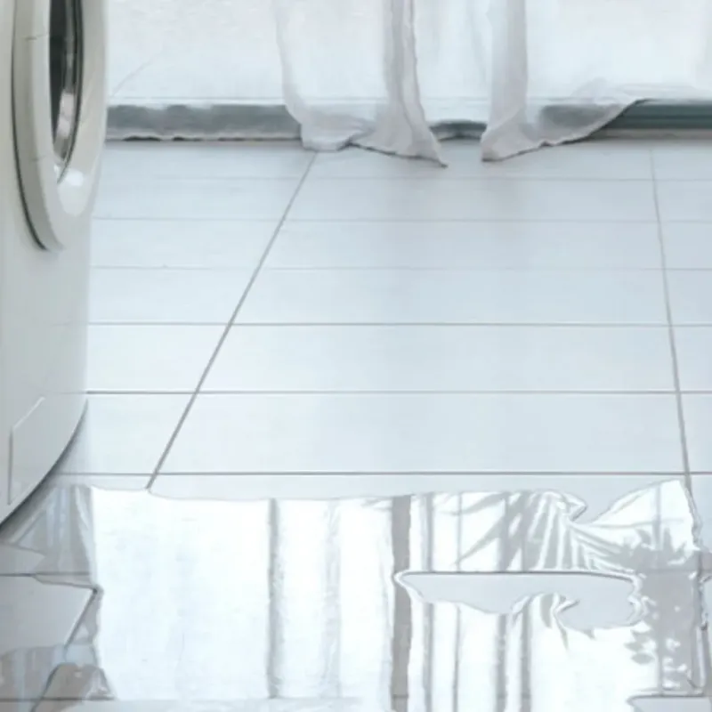 Appliance Leak Cleanup in Vanderburgh County, IN