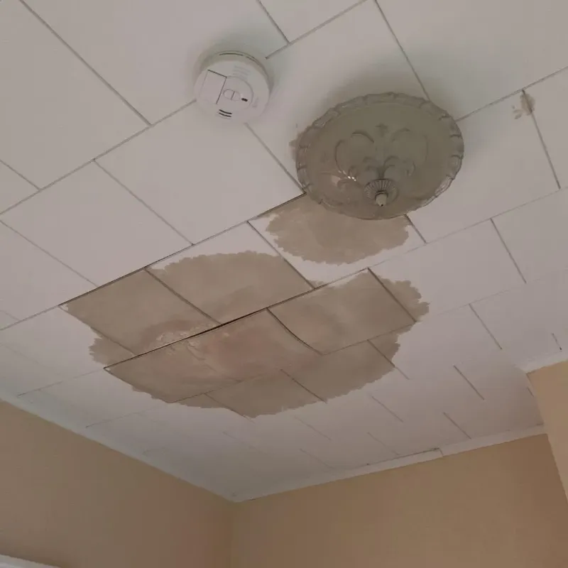 Ceiling Water Damage Repair in Vanderburgh County, IN