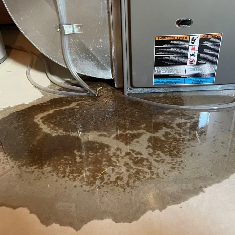Pipe Burst and Leak Restoration in Vanderburgh County, IN