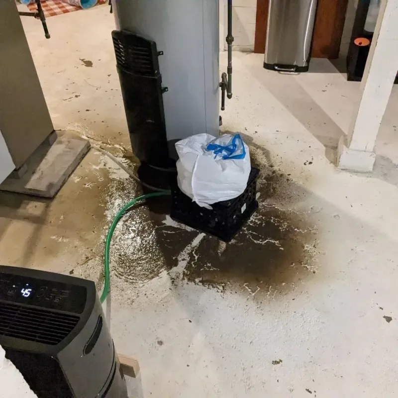 Sewage Backup Cleanup Service in Vanderburgh County, IN